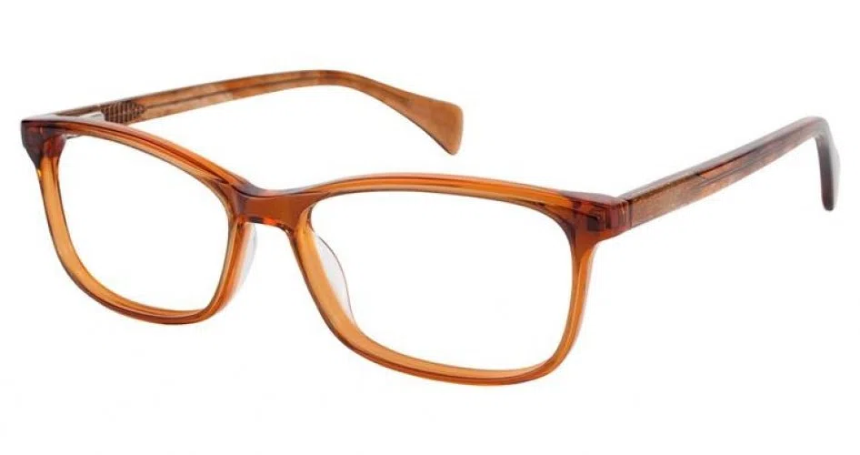 Aristar AR18432 Eyeglasses - view 4